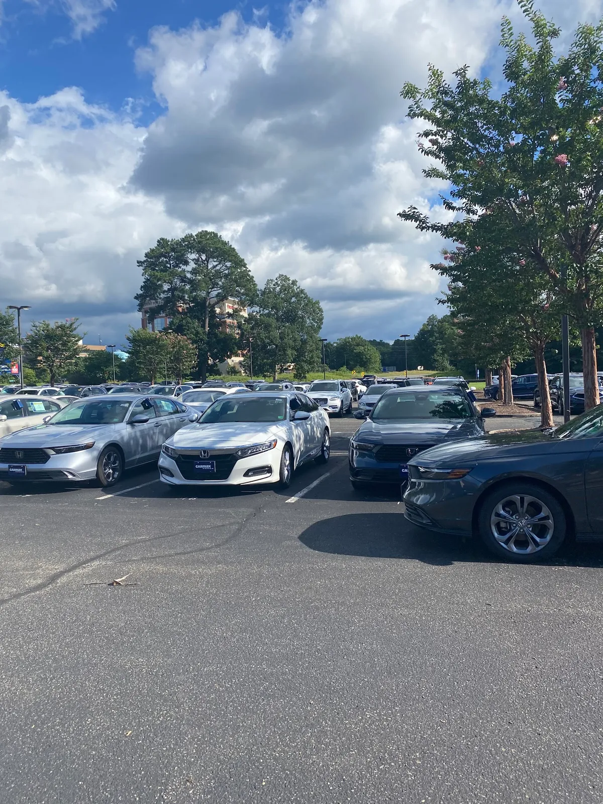 Gallery image 5